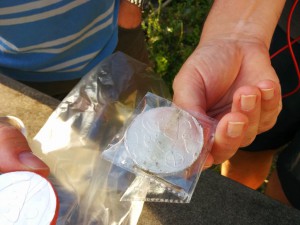 SidseFrank_coin_06